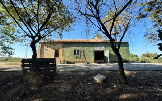 *»Finca de 28.800 m² en Carretera de Dolores con 600 olivos, 700 pinos y riego por goteo – Ideal par